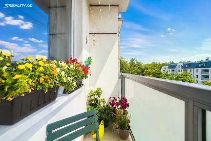 Prodej bytu 3+1 72 m² Lonkova, Pardubice - Polabiny