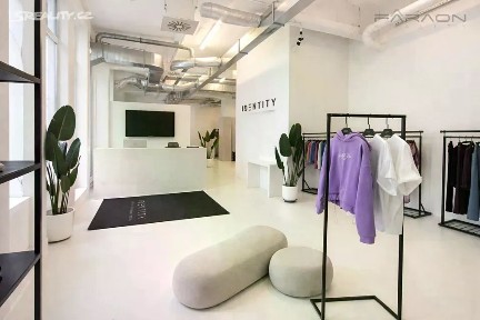 Pronájem obchodního prostoru 365 m² Bartoškova, Praha - Nusle
