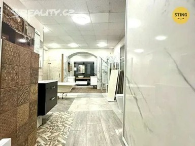 Pronájem obchodního prostoru 401 m²