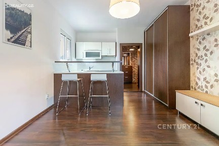 Pronájem bytu 1+kk 22 m² Bezručova, Frýdek-Místek - Místek