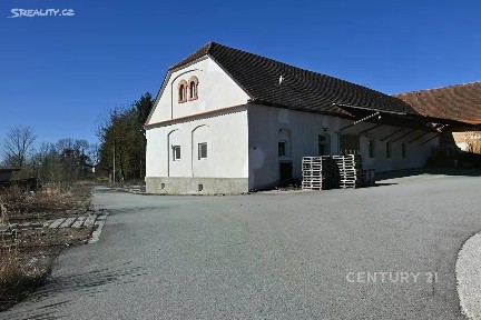 Mladý Smolivec