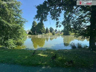 Bor - Ostrov
