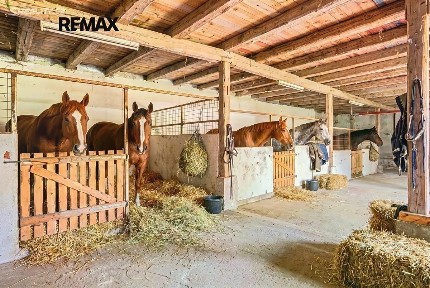 Prodej rodinného domu 1230 m², pozemek 1230 m²