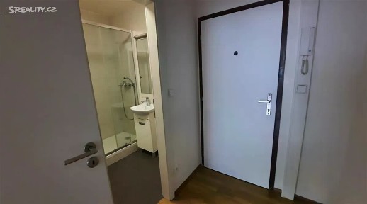 Prodej bytu 1+kk 30 m² Pod Lysinami, Praha - Hodkovičky