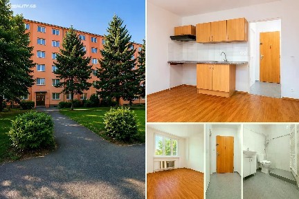 Prodej bytu 1+kk 20 m² Skupova, Plzeň - Jižní Předměstí