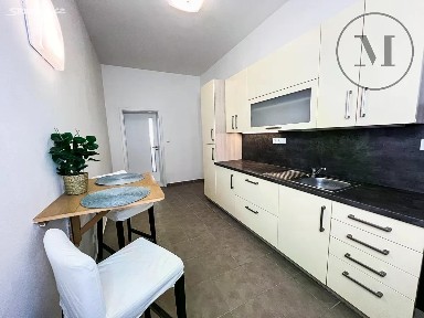 Pronájem bytu 1+1 59 m² Puklicova, České Budějovice - České Budějovice 3