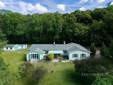 Prodej obchodního prostoru 273 m²