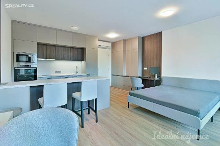 Pronájem bytu 1+kk 39 m² Hybešova, Brno - Staré Brno