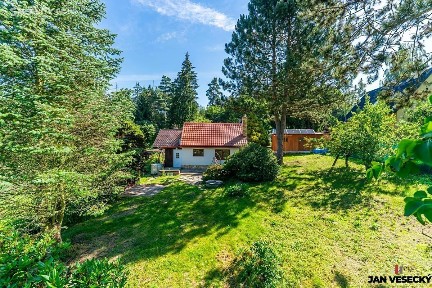 Krňany