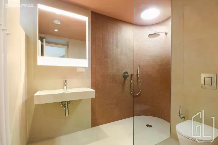 Prodej bytu 1+kk 34 m² Boleslavova, Praha - Nusle