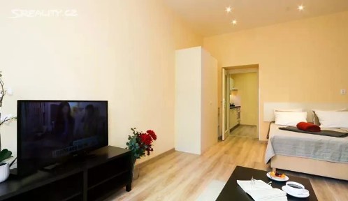 Pronájem bytu 1+1 40 m² Máchova, Praha - Vinohrady