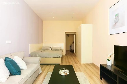 Pronájem bytu 1+1 40 m² Máchova, Praha - Vinohrady