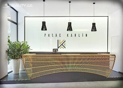 Pronájem kanceláře 884 m² Thámova, Praha - Karlín