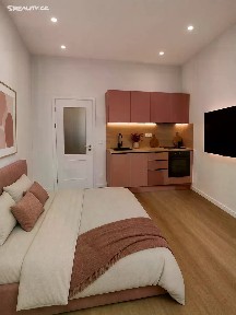 Prodej bytu 1+kk 20 m² Pernerova, Praha - Karlín