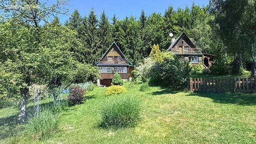 Držková