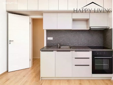 Pronájem bytu 1+kk 34 m² Železná, Plzeň - Jižní Předměstí