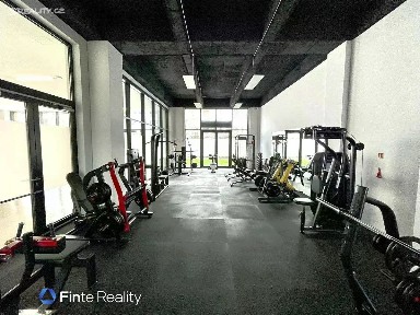 Prodej obchodního prostoru 150 m² Na Stárce, Praha - Košíře