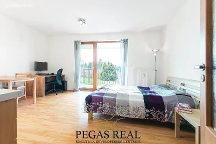 Pronájem bytu 1+kk 45 m² Holubice