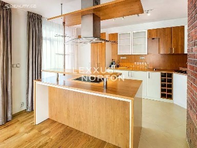 Pronájem rodinného domu 350 m², pozemek 800 m² Nad hradním potokem, Praha - Veleslavín