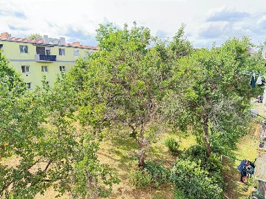 Prodej bytu 2+1 52 m² Purkyňova, Brno