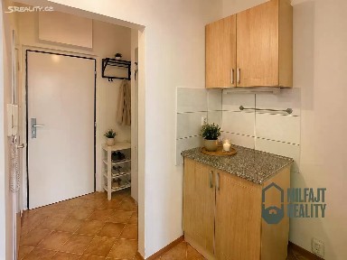Pronájem bytu 1+kk 29 m² Ostravská, Liberec - Liberec XIV-Ruprechtice