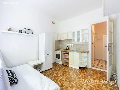 Pronájem bytu 1+kk 20 m² Soběslavská, Praha - Vinohrady