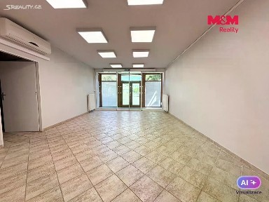 Pronájem obchodního prostoru 120 m²