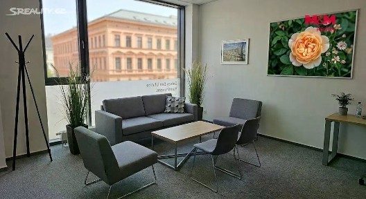 Pronájem kanceláře 50 m² Masarykovo náměstí, Přelouč