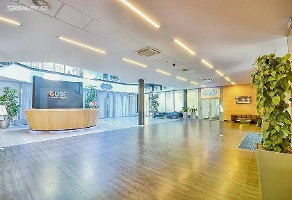 Pronájem kanceláře 250 m² Evropská, Praha - Vokovice