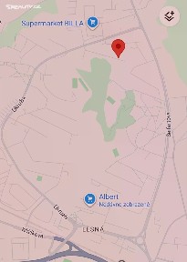 Brno, Brno-město, Lesná