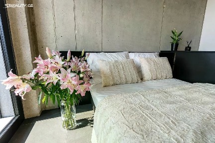 Pronájem bytu 1+kk 43 m² Královopolská, Brno - Žabovřesky