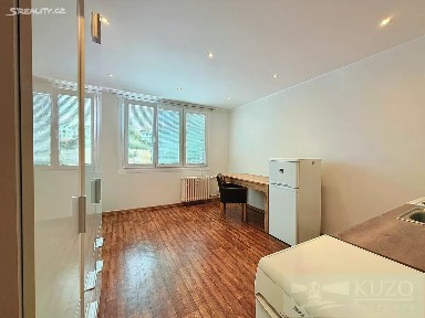 Prodej bytu 1+kk 21 m² Luďka Pika, Plzeň - Doudlevce
