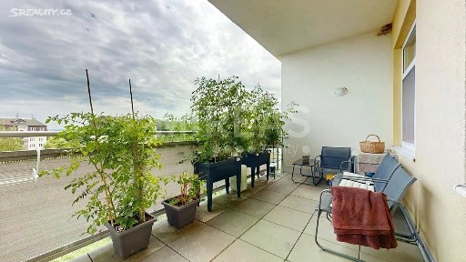 Prodej bytu 2+kk 77 m² Lesní, Milovice - Mladá