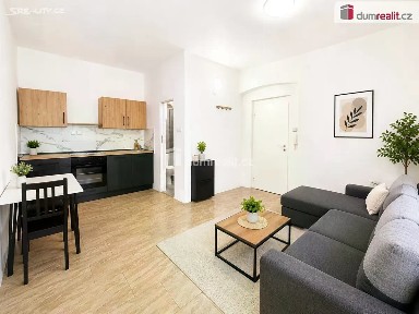 Pronájem bytu 1+kk 21 m² Emy Destinové, Ústí nad Labem - Ústí nad Labem-centrum