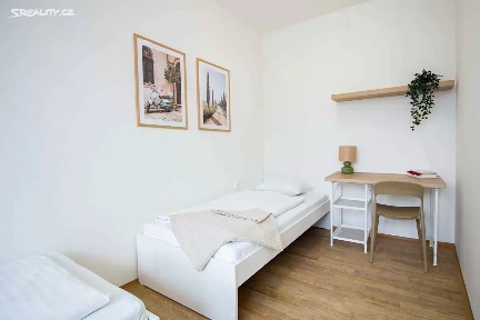 Pronájem bytu 2+1 55 m² Rumiště, Brno - Trnitá