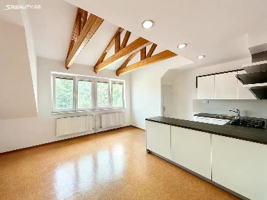 Pronájem rodinného domu 170 m², pozemek 141 m² Horova, Brno - Žabovřesky