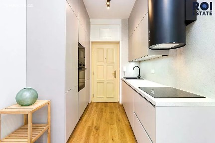 Pronájem bytu 1+kk 23 m² Studentská, Praha - Dejvice