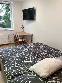 Pronájem bytu 1+kk 26 m² Štefánikova, Zlín