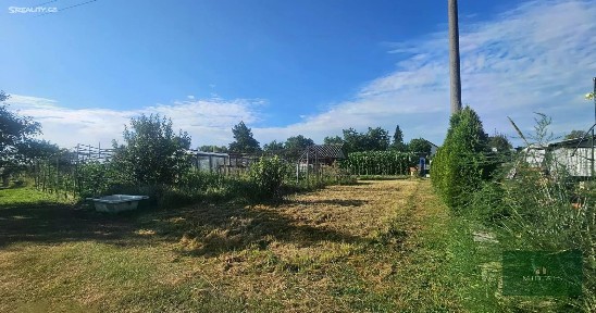 Zahradní, Bor