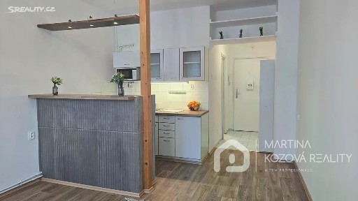 Pronájem bytu 1+kk 24 m² Patočkova, Praha - Břevnov