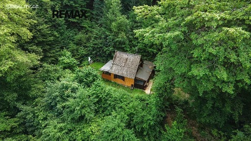 Chyňava