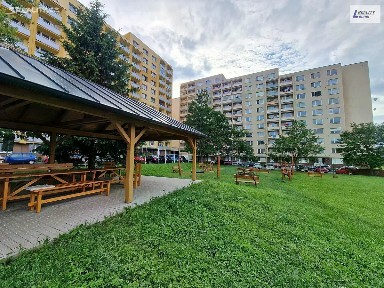 Pronájem bytu 1+kk 32 m² Brodská, Příbram - Příbram VIII