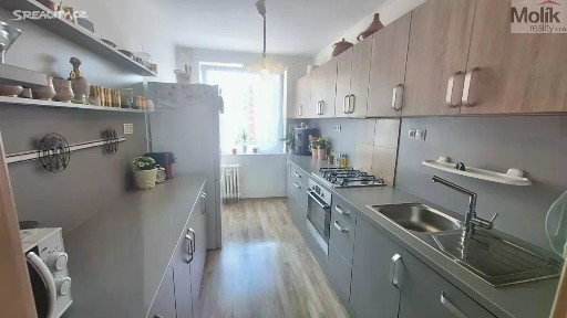 Prodej bytu 4+1 85 m² Přítkovská, Teplice - Trnovany