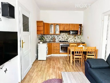 Pronájem bytu 2+kk 48 m² Čechova, Plzeň - Jižní Předměstí