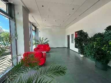 Pronájem kanceláře 231 m² Sochorova, Brno - Žabovřesky