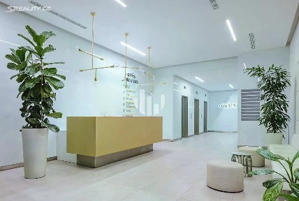 Pronájem kanceláře 233 m² Sokolovská, Praha - Karlín