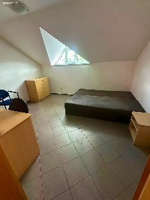 Brno, Brno-město, Bosonohy, Hoštická