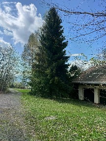 Prodej rodinného domu 196 m², pozemek 5697 m²