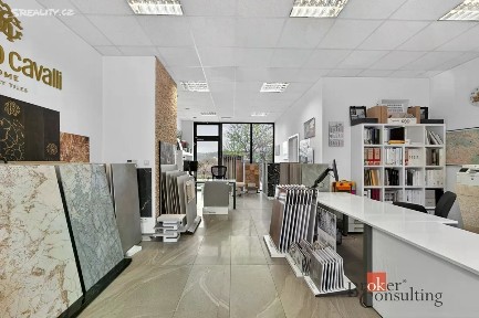 Prodej obchodního prostoru 59 m²