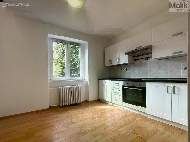 Pronájem bytu 1+1 30 m² Lesní, Most